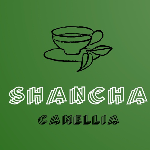 shanchatea